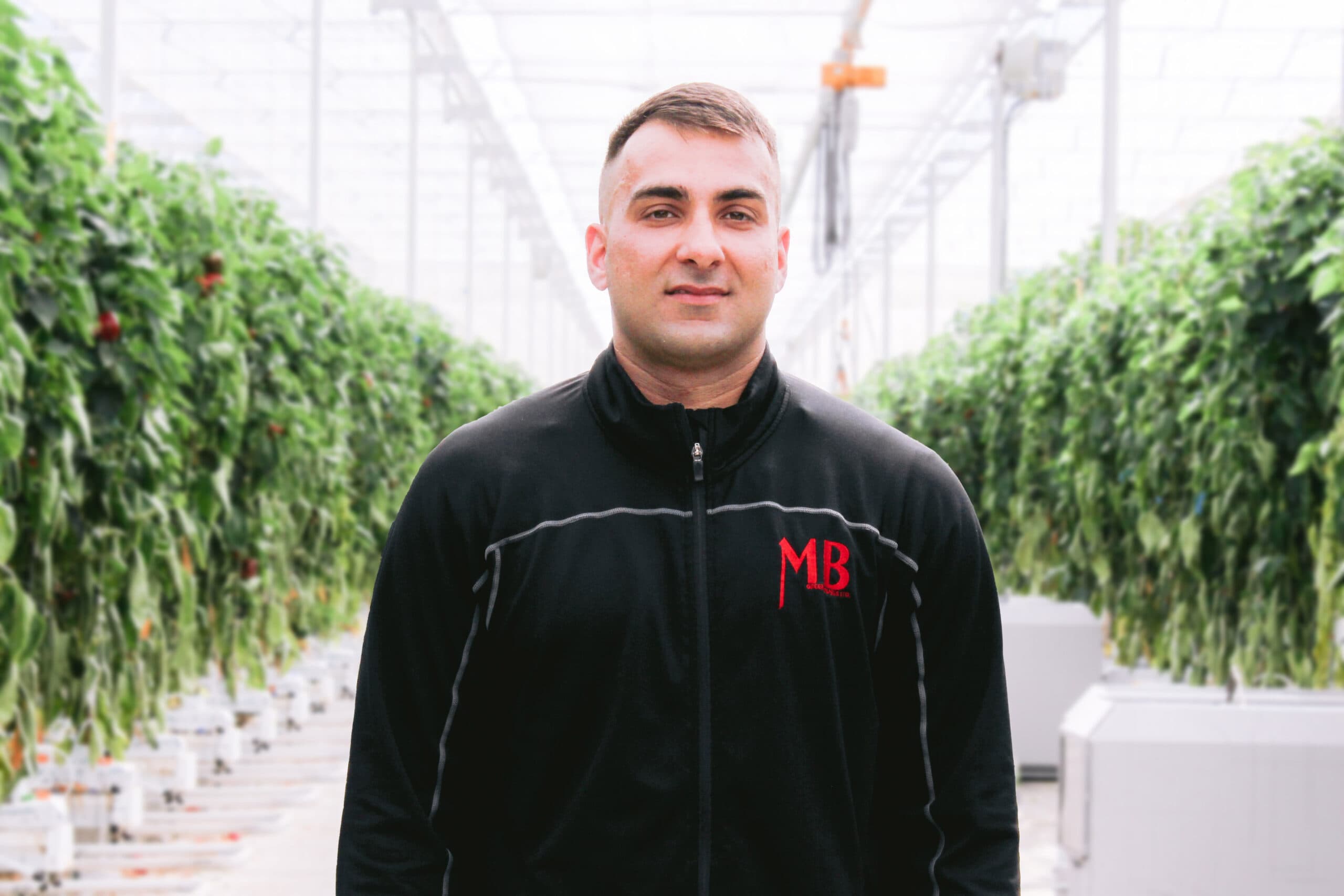 MB Greenhouses team member in a pepper growing aisle